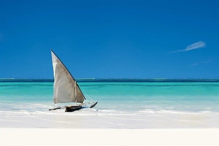 Safari Blue Dhow Cruise: Full-Day Zanzibar Snorkeling, Dolphin Watching & Kwale Island Lunch photo 4