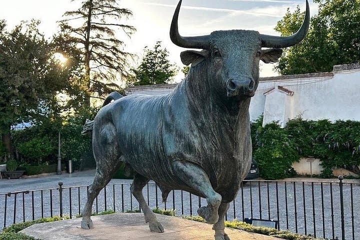 Ronda Day Trip from Seville: Bullring, Tajo Gorge & New Bridge photo 2