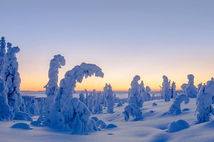 Winter Hike to Riisitunturi Summit with Campfire & BBQ from Rovaniemi