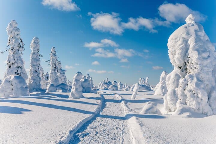 Winter Hike to Riisitunturi Summit with Campfire & BBQ from Rovaniemi photo 2
