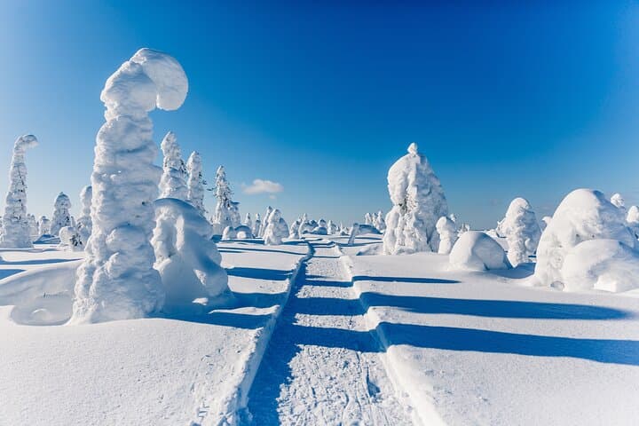 Winter Hike to Riisitunturi Summit with Campfire & BBQ from Rovaniemi photo 5