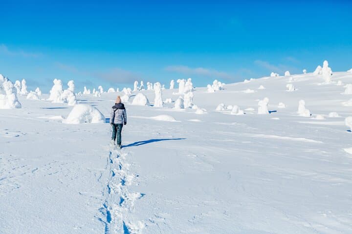 Winter Hike to Riisitunturi Summit with Campfire & BBQ from Rovaniemi photo 3