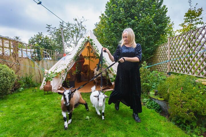 Pygmy Goat Walk in Tetbury — Cotswolds Goat-Walking Experience photo 2