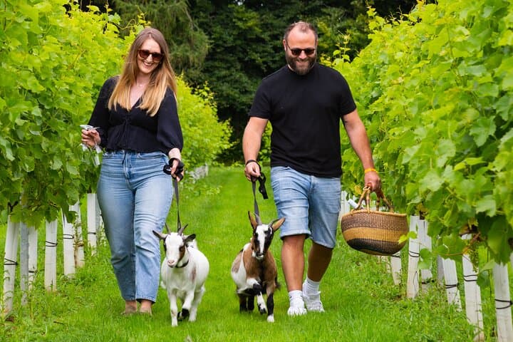 Pygmy Goat Walk in Tetbury — Cotswolds Goat-Walking Experience photo 4