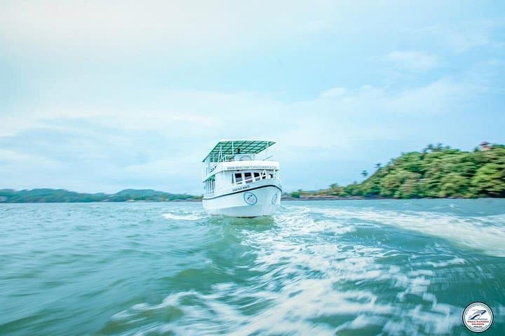 Mirissa Whale Watching: Morning Cruise to See Blue Whales & Dolphins photo 2