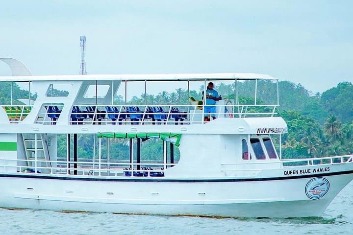Mirissa Whale Watching: Morning Cruise to See Blue Whales & Dolphins