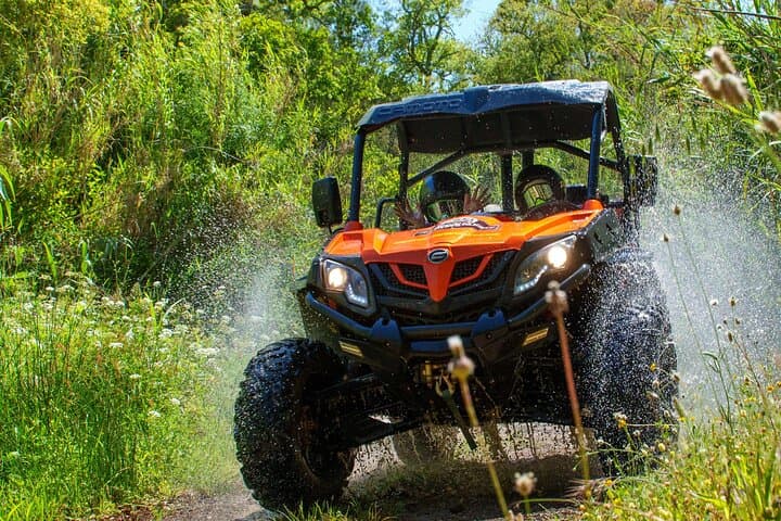 Dirt & Dust Buggy Tour: Off-Road Algarve Buggy Adventure