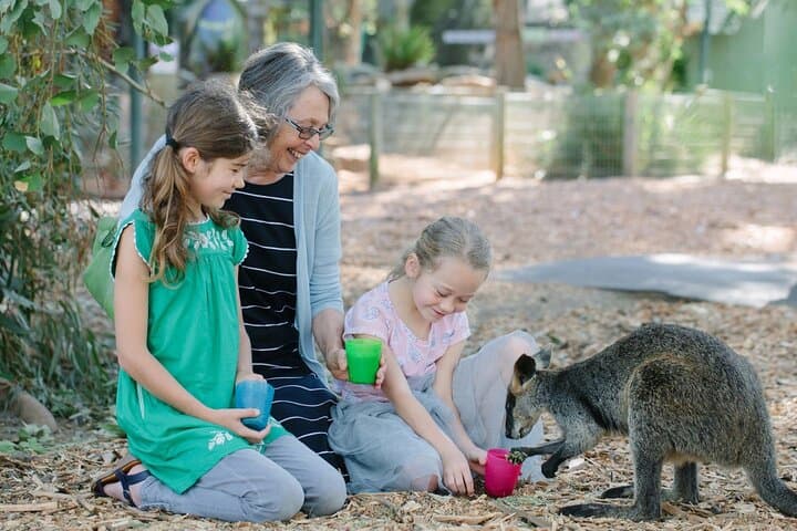 Blue Mountains Day Tour from Sydney: Scenic World, Featherdale Wildlife & Three Sisters photo 5