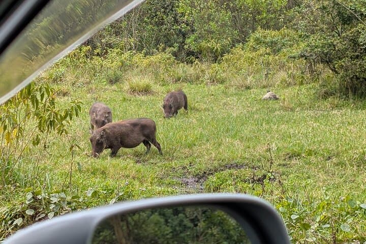 Mount Meru Trek & Walking Safari: 4-Day Summit, Sunrise Views & Wildlife photo 2