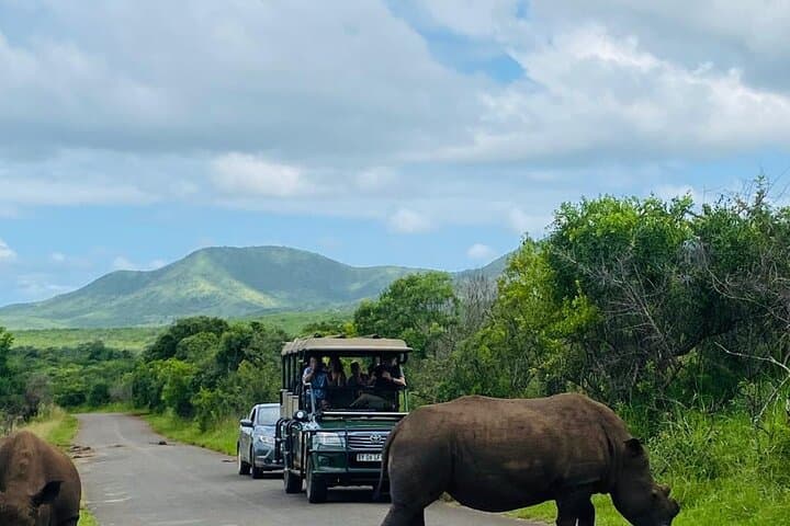 Full-Day Hluhluwe-Imfolozi Big Five Safari: Ultimate Wildlife Game Drive photo 1