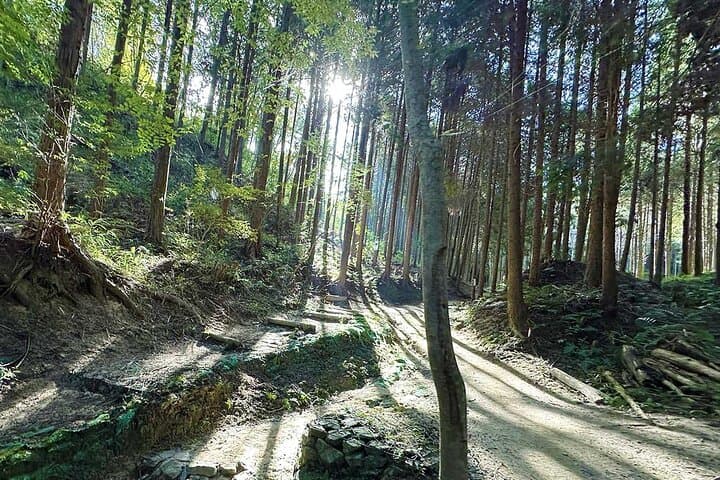 Mt Kunimi Guided Trek — Hirakata Hike with Osaka and Kyoto Panoramas photo 4