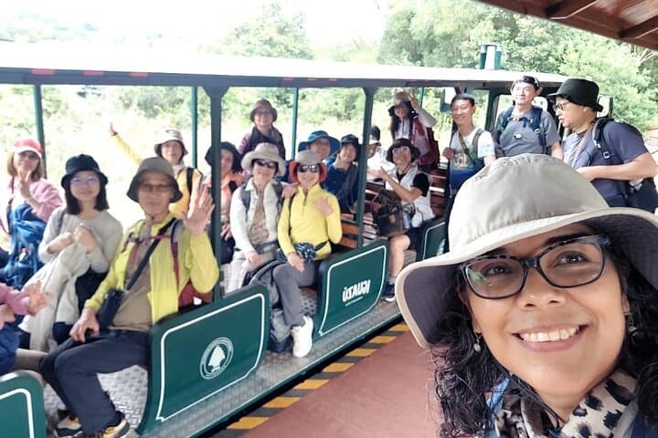 Iguazu Falls Day Tour from IGR — Upper & Lower Circuits plus Devil's Throat photo 5