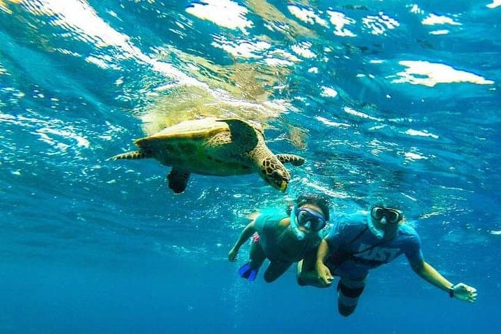 Daymaniyat Islands Snorkeling Adventure from Muscat — Half-Day Trip photo 6