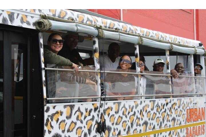 Cape Town Urban Safari: Live Guided Inner-City Walking Tour photo 3