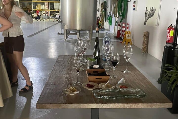 Murcia Wine Tour: Bodega Visit, Tasting & Aroma Workshop in Balsicas photo 2