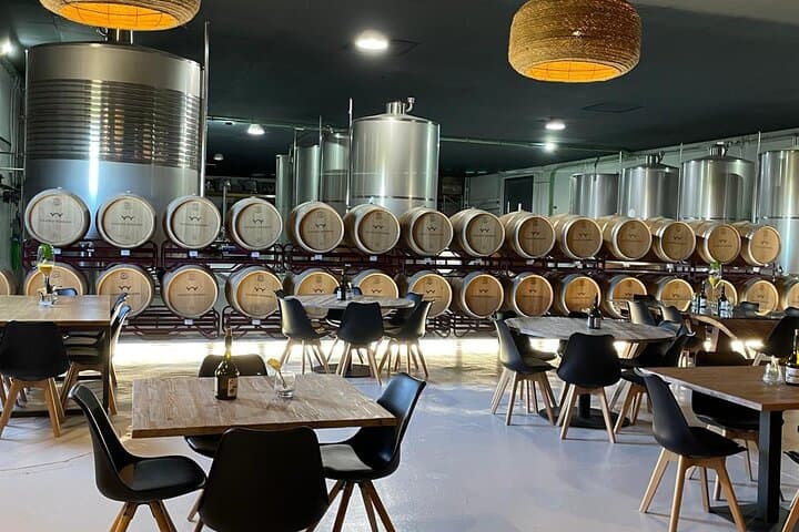 Murcia Wine Tour: Bodega Visit, Tasting & Aroma Workshop in Balsicas photo 3