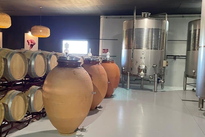Murcia Wine Tour: Bodega Visit, Tasting & Aroma Workshop in Balsicas photo 6