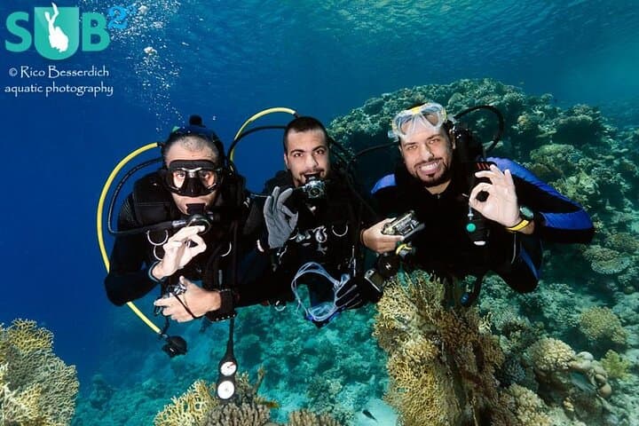 Ras Mohammed & White Island Boat Trip: Snorkel Egypt’s Coral Gardens photo 2