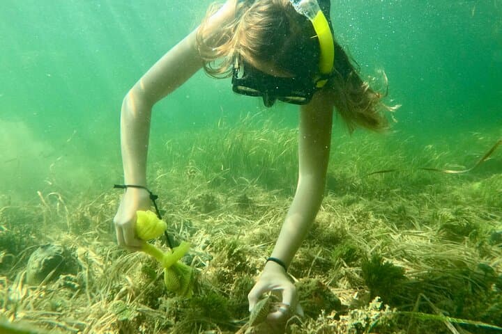 Scalloping in Crystal River: Premier Nature Coast Charter Experience photo 2