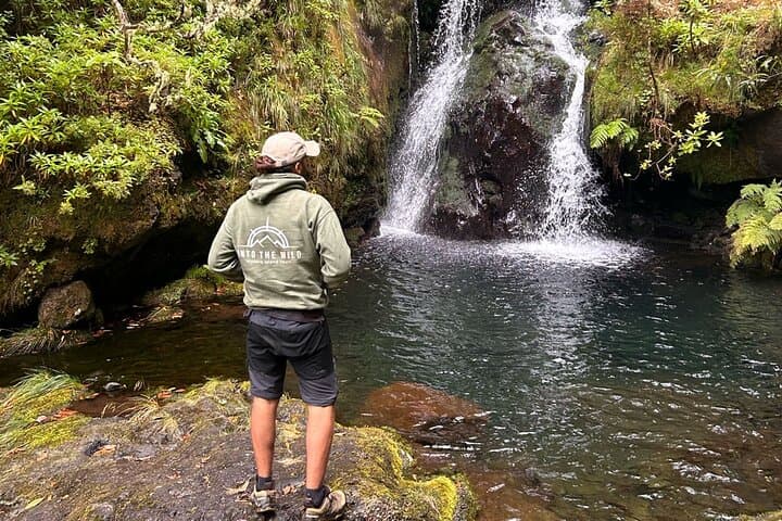Private Levada Walks: Guided Levada & PR8 Hiking Tours in Madeira