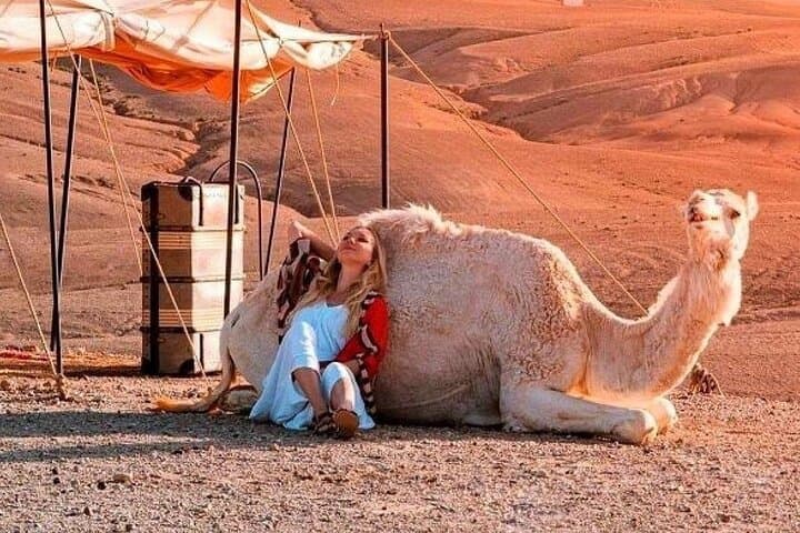 Agafay Desert Dinner, Sunset Quad & Camel Ride from Marrakech photo 3