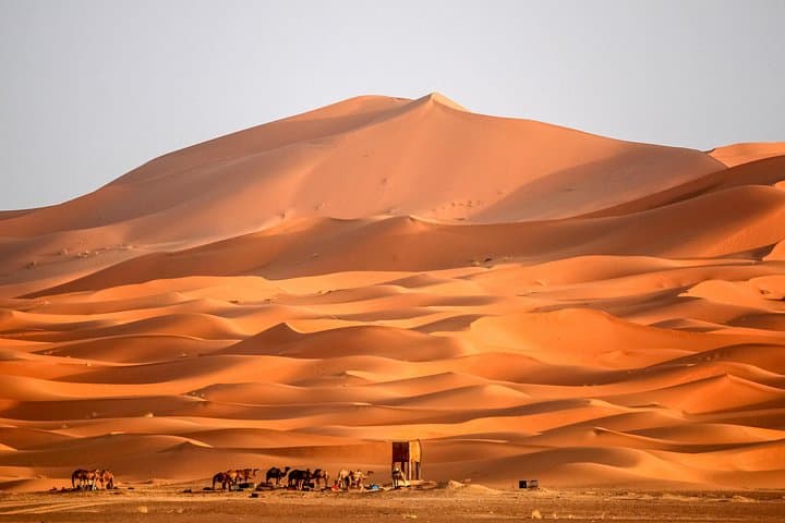 2-Day Merzouga Desert Tour from Fes: Camel Trek, Erg Chebbi Camp & Berber Night photo 2