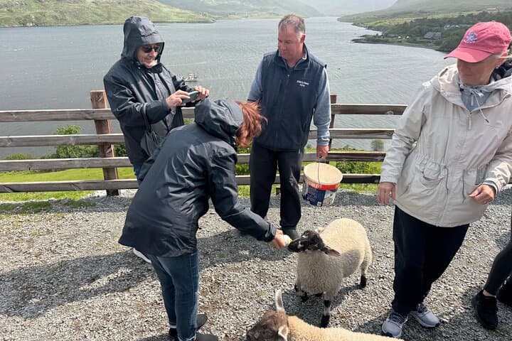 Private Day Tour: Cliffs of Moher & The Burren Experience from Liscannor photo 5