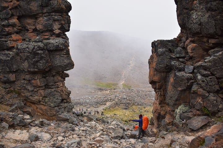 Lemosho Route Kilimanjaro: 8-Day Ascent to Uhuru Peak photo 4