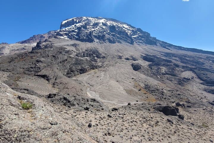 Lemosho Route Kilimanjaro: 8-Day Ascent to Uhuru Peak photo 5