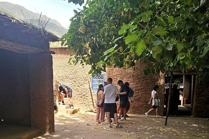 Ourika Valley Day Trip: Berber Homes, Setti Fatma Waterfalls & Atlas Views photo 3