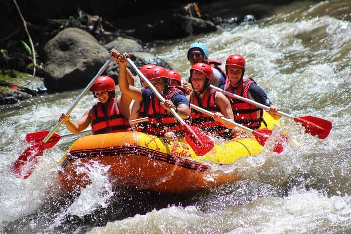 Red Paddle Ayung River Rafting in Ubud — 3-Hour Whitewater Adventure photo 6