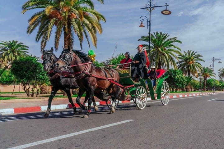 Horse-Drawn Carriage Ride Through Marrakech's Historic Medina