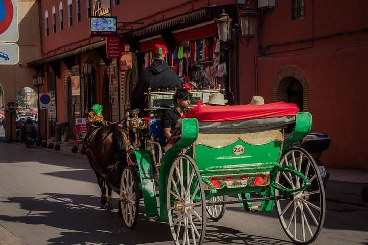 Horse-Drawn Carriage Ride Through Marrakech's Historic Medina photo 6
