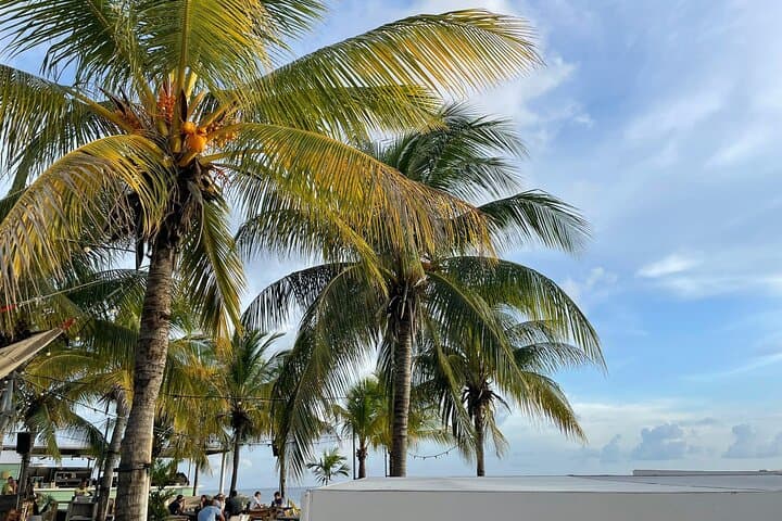 Private Curaçao Beach Tour — Snorkel Turquoise Bays & Swim with Turtles photo 2