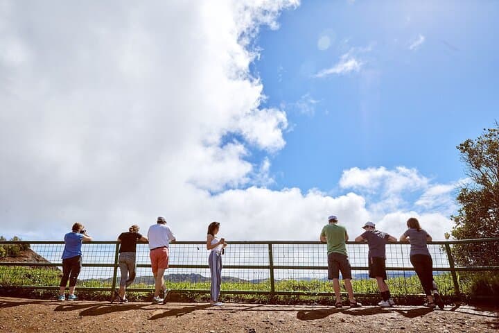 Kauai One-Day Highlights Tour: Kalalau Valley, Waimea Canyon & South Shore photo 6
