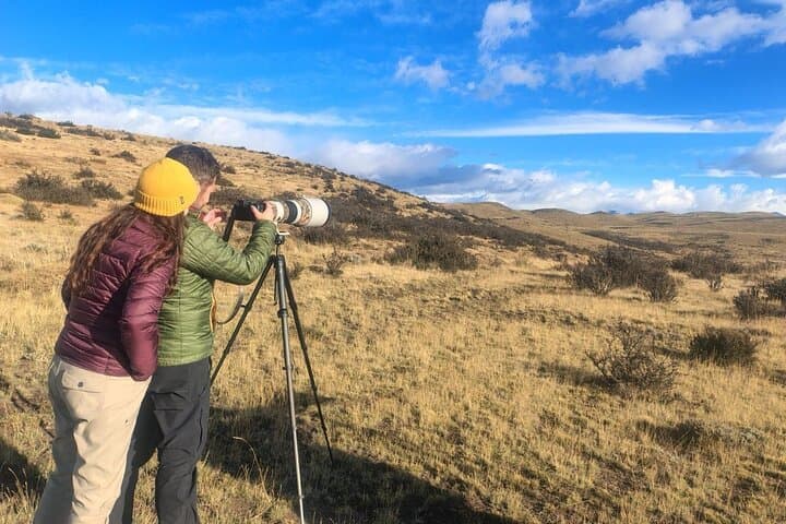 Puma Route: 3-Day Cougar Tracking in Torres del Paine National Park photo 4