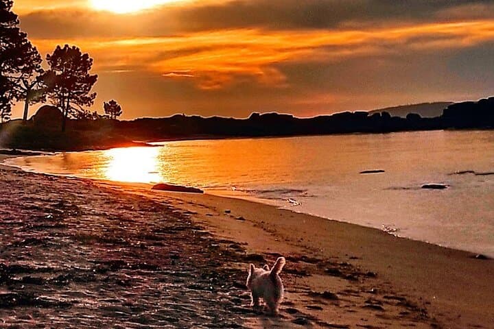 Rias Baixas Islands & Albariño: Wine Tasting and Scenic Sunsets photo 2