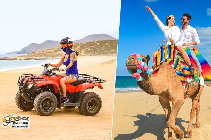 ATV and Camel Ride on Migriño Beach: Baja Dune Rush and Pacific Shore Camel Experience