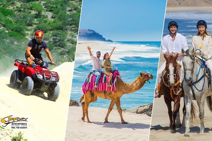 Cabo ATV, Camel & Horseback Adventure at Migriño Beach
