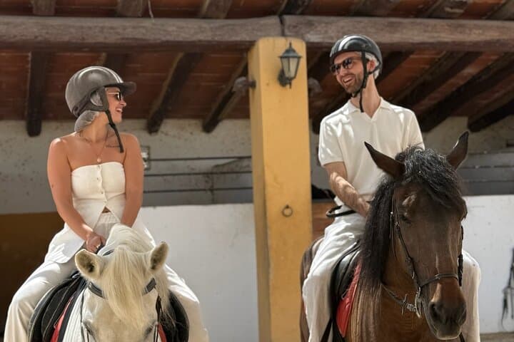 Noordhoek Beach Horseback Riding — Private Long Beach Equestrian Tour from Cape Town photo 3