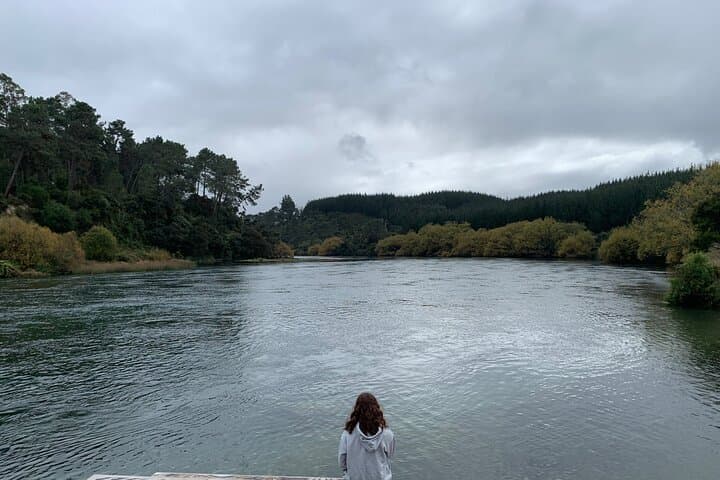 Lake Taupo Great Lake Tour: Huka Falls & Mine Bay Maori Rock Carvings (Day Trip from Auckland) photo 6