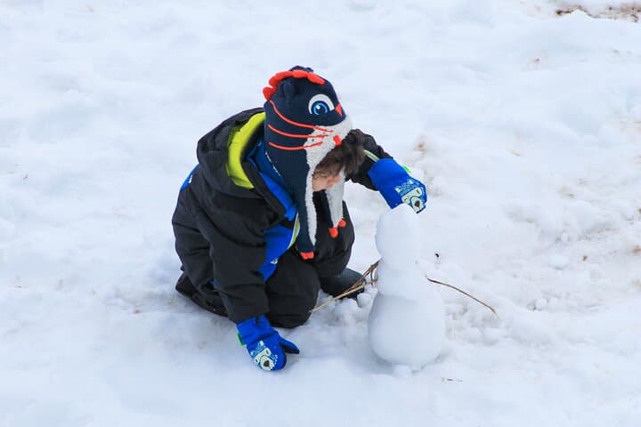 Valle Nevado Day Trip from Santiago: Andes Panoramas & Ski Rentals photo 4