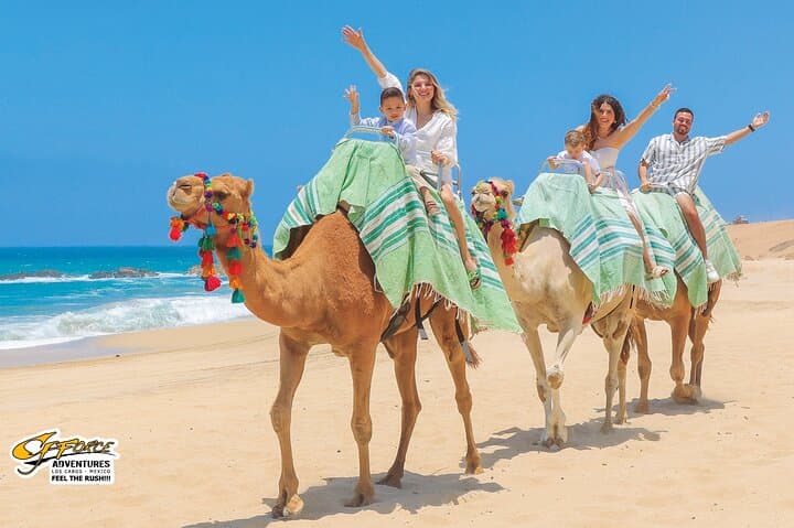 Camel Ride Adventure Cabo San Lucas – Pacific Beach Camel Tour & Tequila Tasting