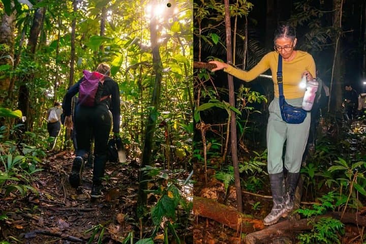 Treehouse Jungle Retreat & Malocan Cultural Immersion near Leticia