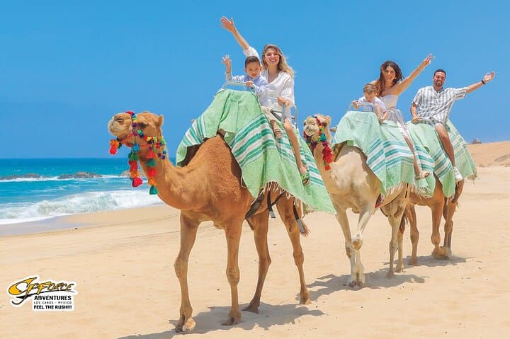 Pacific Beach Camel Ride — Camelback Tours in Los Cabos