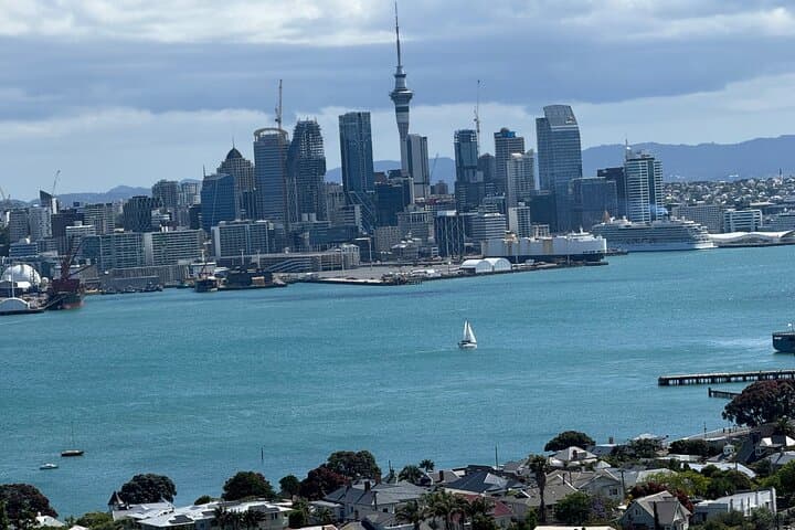 Private Auckland City Tour: Bastion Point, Parnell & Devonport Highlights photo 3