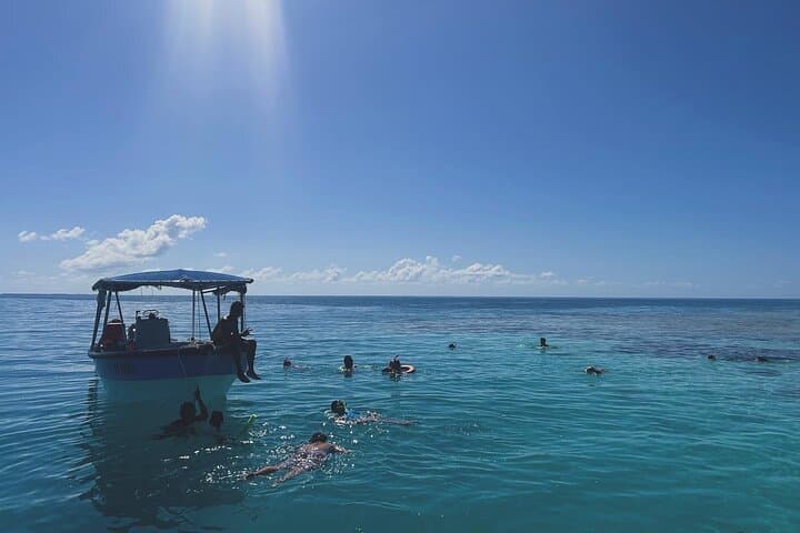Rangiroa Snorkeling & Dolphin Cruise in Tiputa Pass photo 3