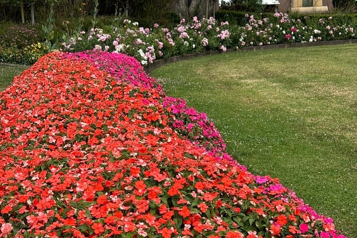 Private Auckland City Tour: Bastion Point, Parnell & Devonport Highlights photo 6