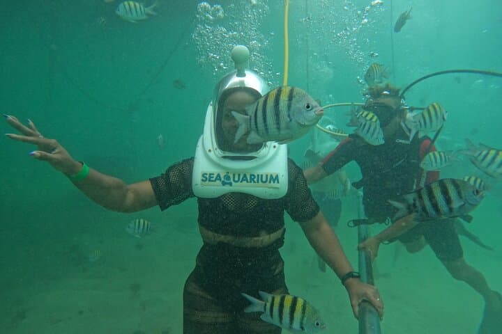Bávaro Marine Adventure: Catamaran Party, Snorkel & Underwater Walk photo 6