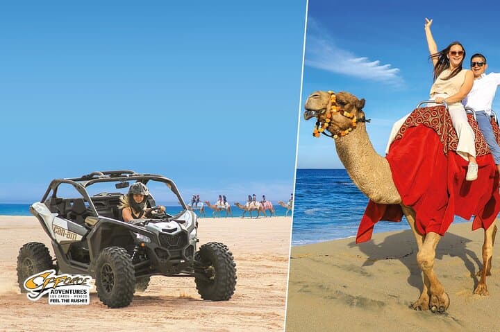 Can-Am X3 UTV & Camel Beach Combo in Cabo: Off-Road Dunes to Coastal Rides